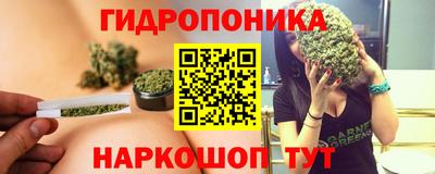 a pvp Новокубанск