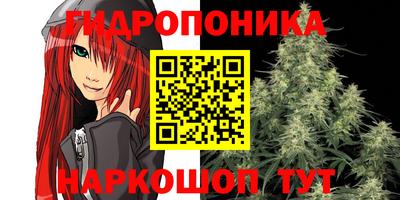 экстази Новозыбков