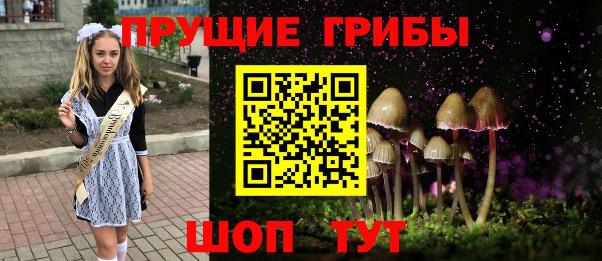 Псилоцибиновые грибы Magic Shrooms Томск